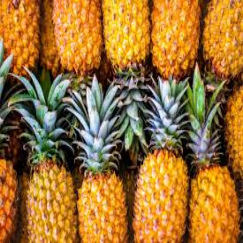 Fruits.