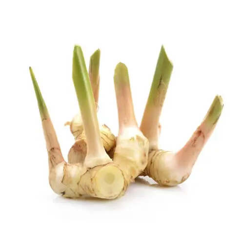 Galangal 250g Thailand