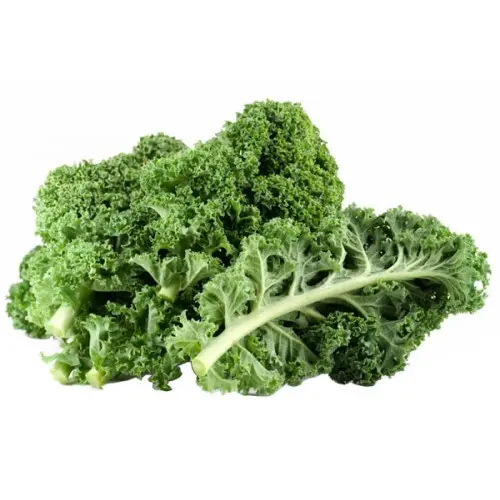Kale 500g Holland