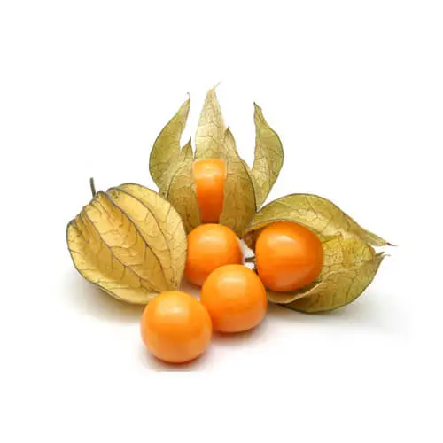 Physalis 100g Colombia